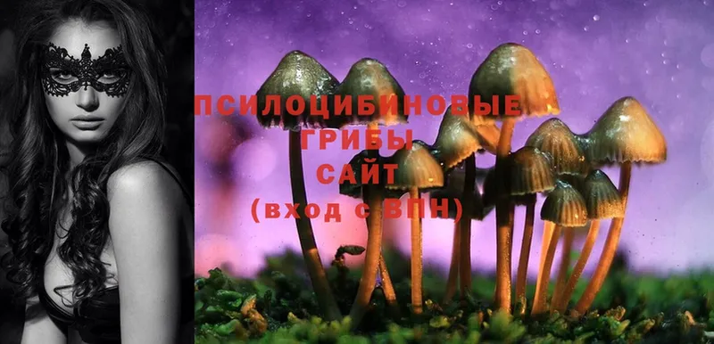 Псилоцибиновые грибы Magic Shrooms Горбатов